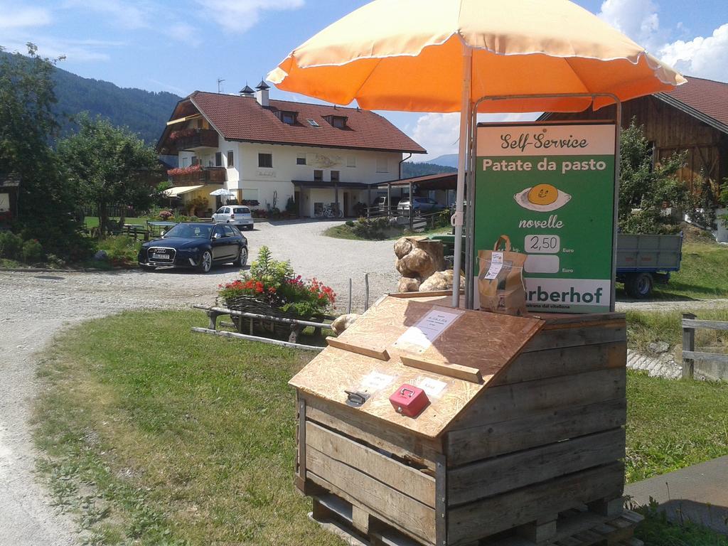 Appartements Faerberhof Olang Екстер'єр фото
